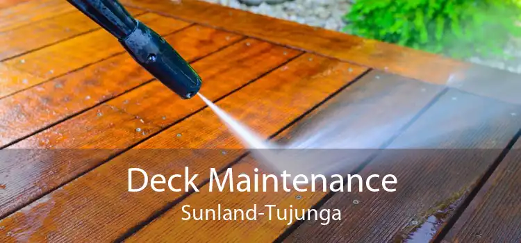 Deck Maintenance Sunland-Tujunga